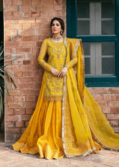 Akbar Aslam Cailin organza shirt and lehenga