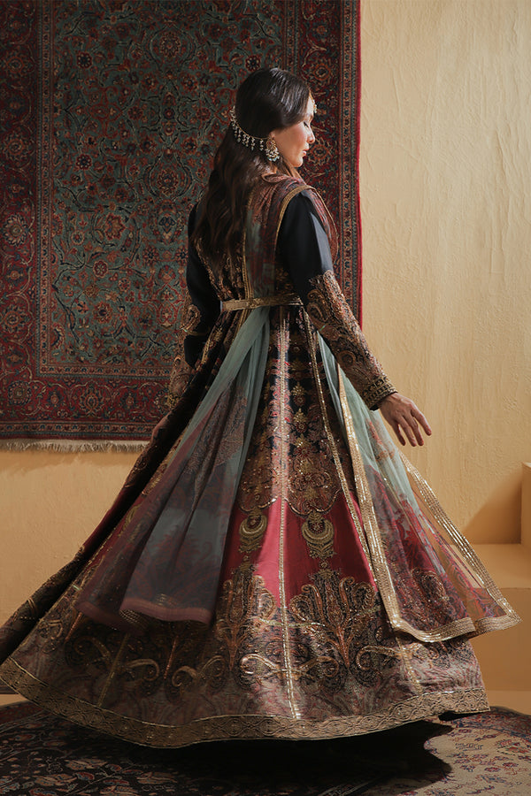 Shamaeel Ansari | Majestic Legacy | Royal Pishwas, image 2