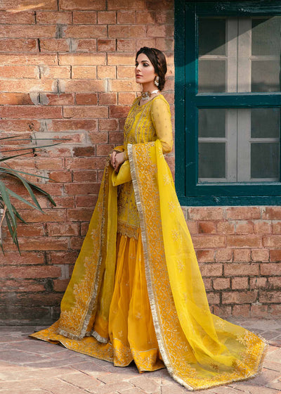 Akbar Aslam Cailin organza shirt and lehenga, photo 4