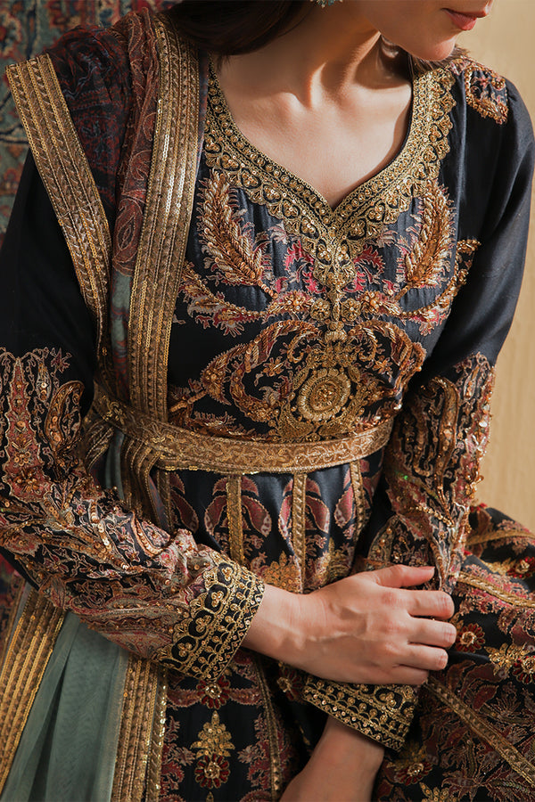 Shamaeel Ansari | Majestic Legacy | Royal Pishwas, image 9