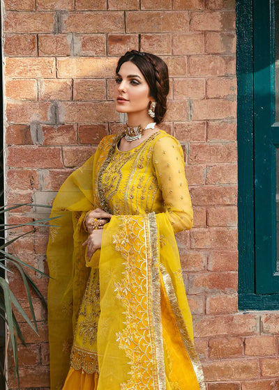 Akbar Aslam Cailin organza shirt and lehenga, photo 5
