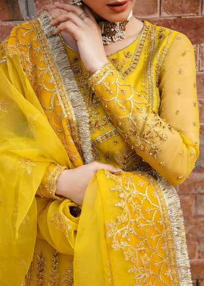 Akbar Aslam Cailin organza shirt and lehenga, photo 6