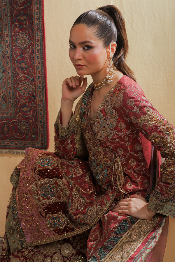 Shamaeel Ansari | Majestic Legacy | Marrakesh Gharara, image 6