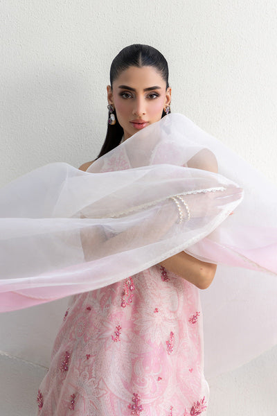 Mina Hasan | Fall Edit 26 | Sashana