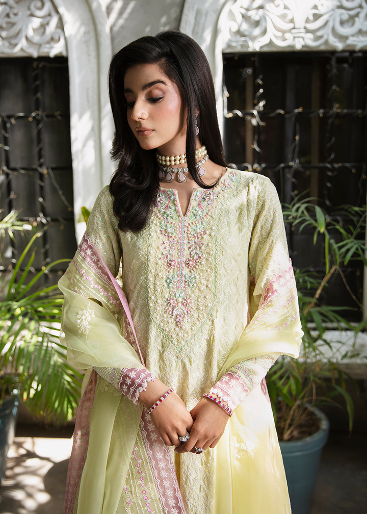 Maria Osama Khan | Rang e Noor Eid Edit | Nargis by Designer Maria Osama Khan - House of Maryam - Pakistani Designer Ethnic Wear in {{ shop.shopifyCountryName }}