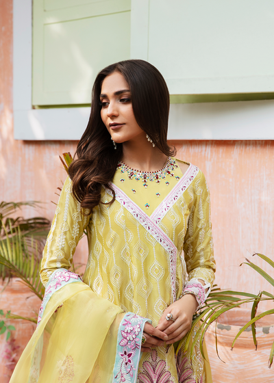 Maria Osama Khan | Rang e Noor Eid Edit | Kanwal -  Maria Osama Khan Luxury - Original Designer Dress - House of Maryam