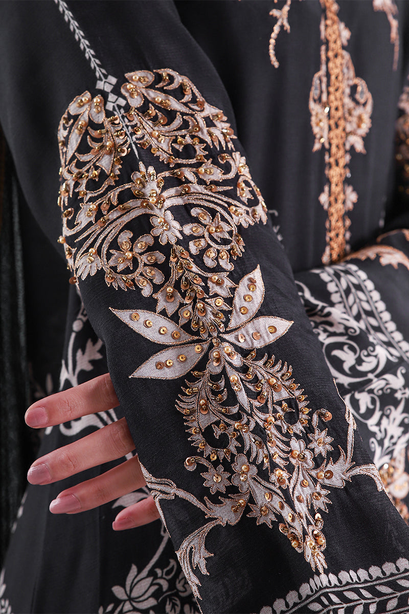Shamaeel Ansari | The Festive Edit 26 | Raag, image 7