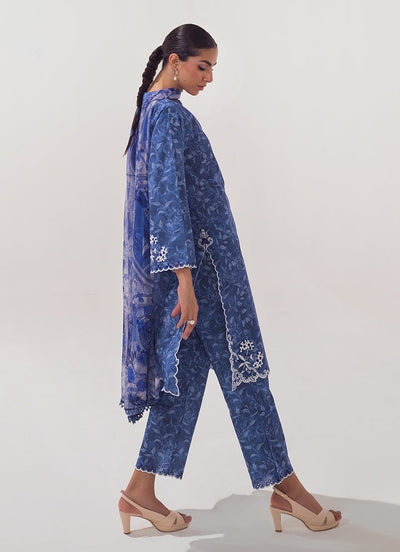 Image | Spring Basics 25 | IMPRSS-214008-12483 -  Image Ladies Clothes - Original Designer Dress - House of Maryam