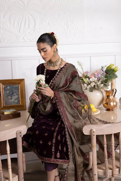 Iznik | Festive Velvet 23 | IV-23 SEHER -  Iznik Formal - Original Designer Dress - House of Maryam