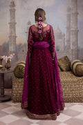 Iznik | Festive Velvet 23 | IV-24 RUMMANA -  Iznik Formal -  House of Maryam