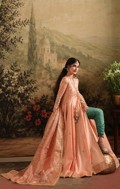 Maya | Dastaan Wedding Formals | AYLA
