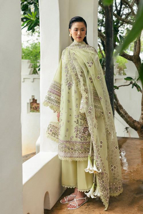 Saira Rizwan | Sajri Festive | ELAN SREP01-25 -  Saira Rizwan Ladies Clothes - Original Designer Dress - House of Maryam