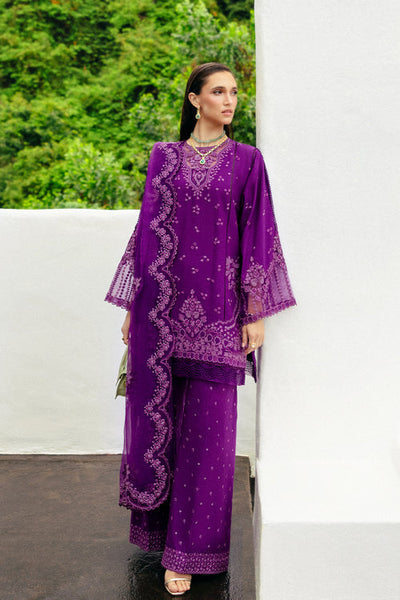 Saira Rizwan | Sajri Festive | ETOILE SREP02-25 -  Saira Rizwan Ladies Clothes - Original Designer Dress - House of Maryam