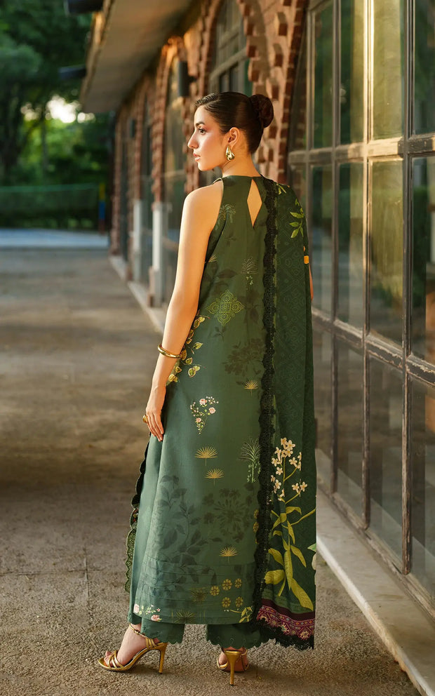 Asifa and Nabeel | Meraki Winter 25 | Jade Dusk-2
