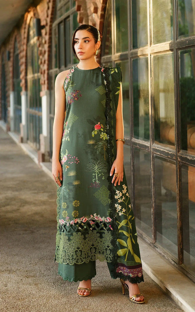 Asifa and Nabeel | Meraki Winter 25 | Jade Dusk