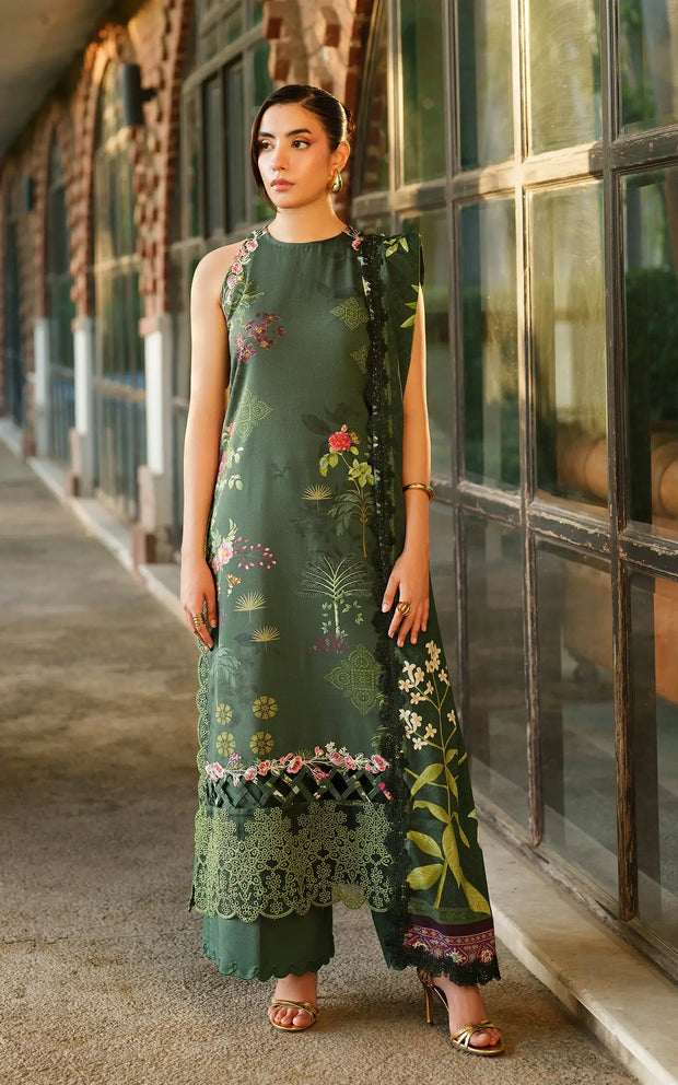 Asifa and Nabeel | Meraki Winter 25 | Jade Dusk-1