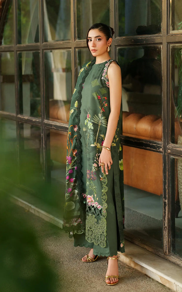 Asifa and Nabeel | Meraki Winter 25 | Jade Dusk-3