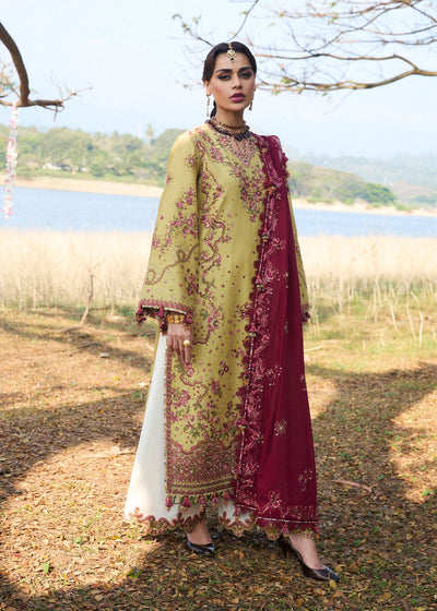 Hussain Rehar | Luxury Lawn 25 | Minted -  Hussain Rehar Ladies Clothes - Original Designer Dress - House of Maryam