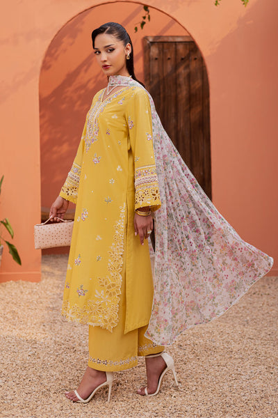 Batik | Winter 25 | Lime Darla