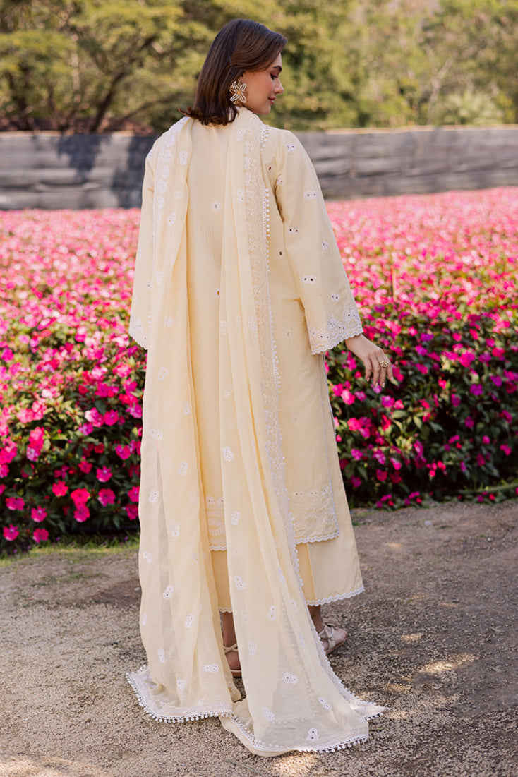 Marjjan | Silvia Lawn | MBL-31 A (Yellow)