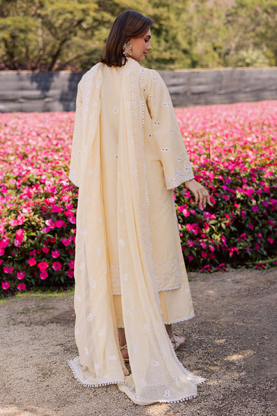 Marjjan | Silvia Lawn | MBL-31 A (Yellow)