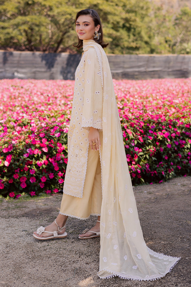 Marjjan | Silvia Lawn | MBL-31 A (Yellow), image 5