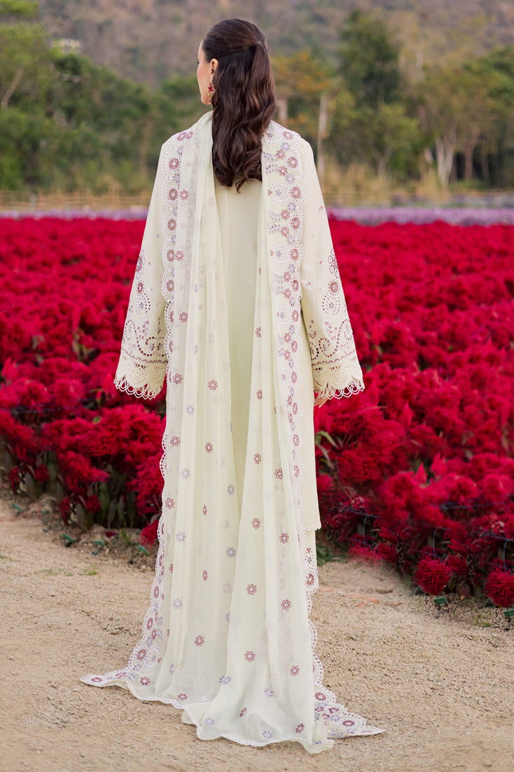 Marjjan | Silvia Lawn | MBL-32 A (Pastel Green)