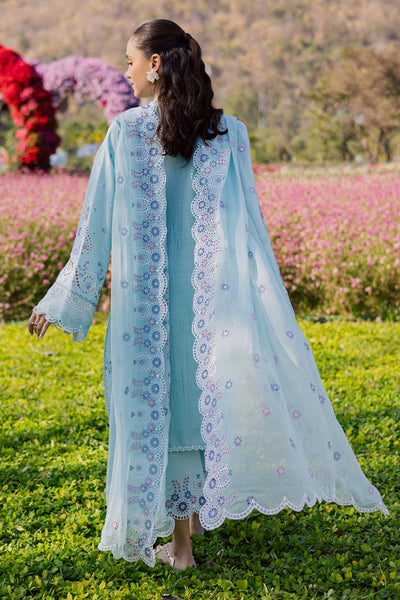 Marjjan | Silvia Lawn | MBL-32 B (Ferozi)