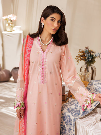 Rajbari | Nissa Chikankari Edition 25 | D# - 03 -  Rajbari Ladies Clothes - Original Designer Dress - House of Maryam