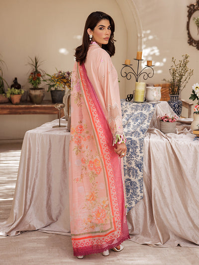 Rajbari | Nissa Chikankari Edition 25 | D# - 03 -  Rajbari Ladies Clothes - Original Designer Dress - House of Maryam