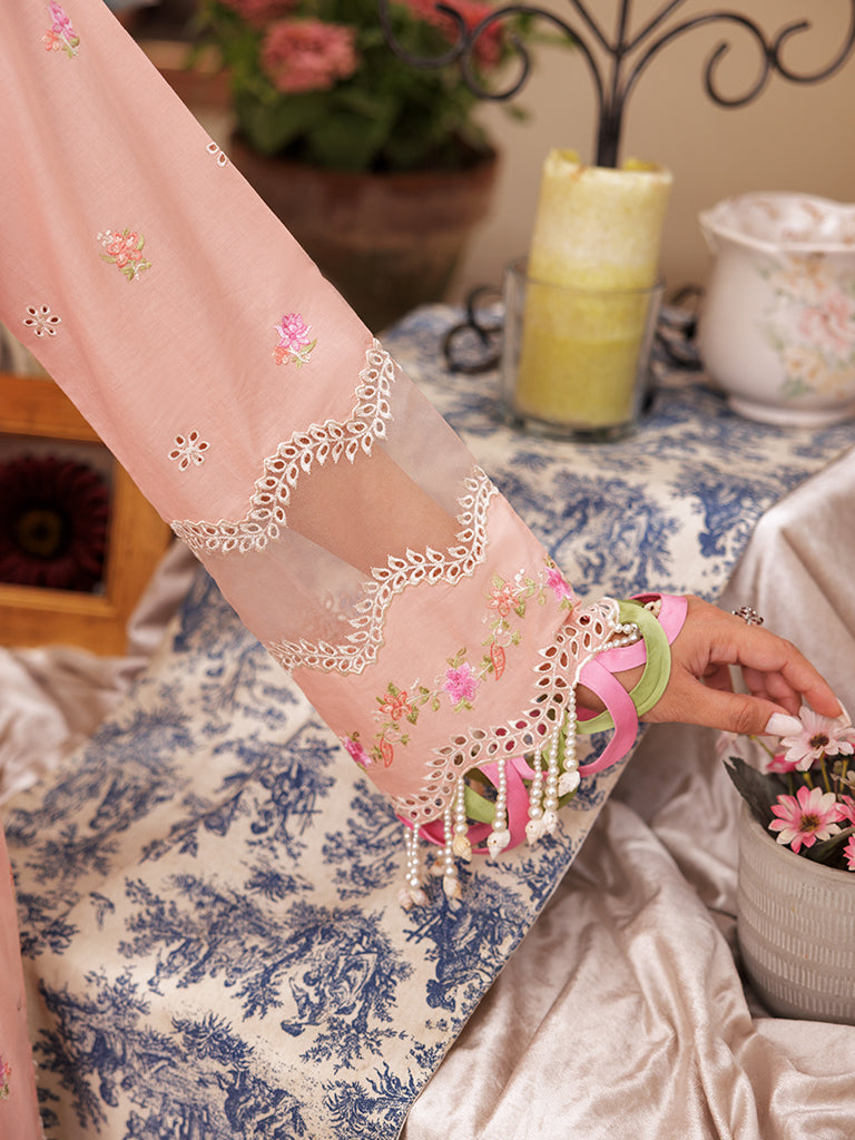 Rajbari | Nissa Chikankari Edition 25 | D# - 03 -  Rajbari Ladies Clothes - Original Designer Dress - House of Maryam