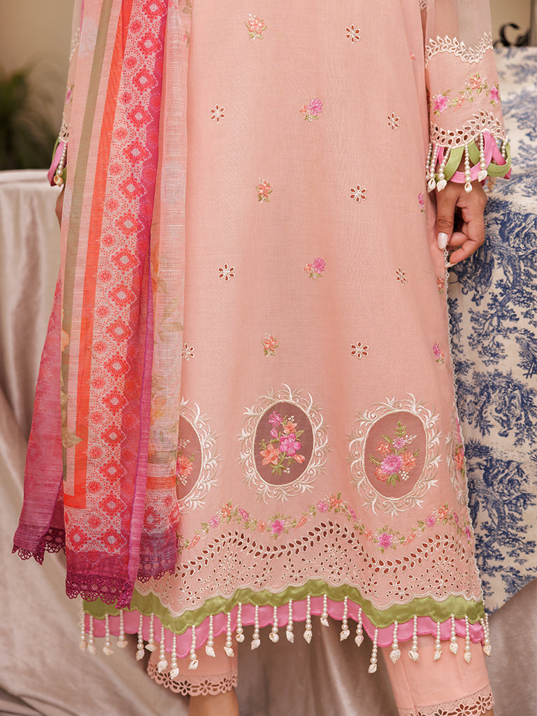 Rajbari | Nissa Chikankari Edition 25 | D# - 03 -  Rajbari Ladies Clothes - Original Designer Dress - House of Maryam