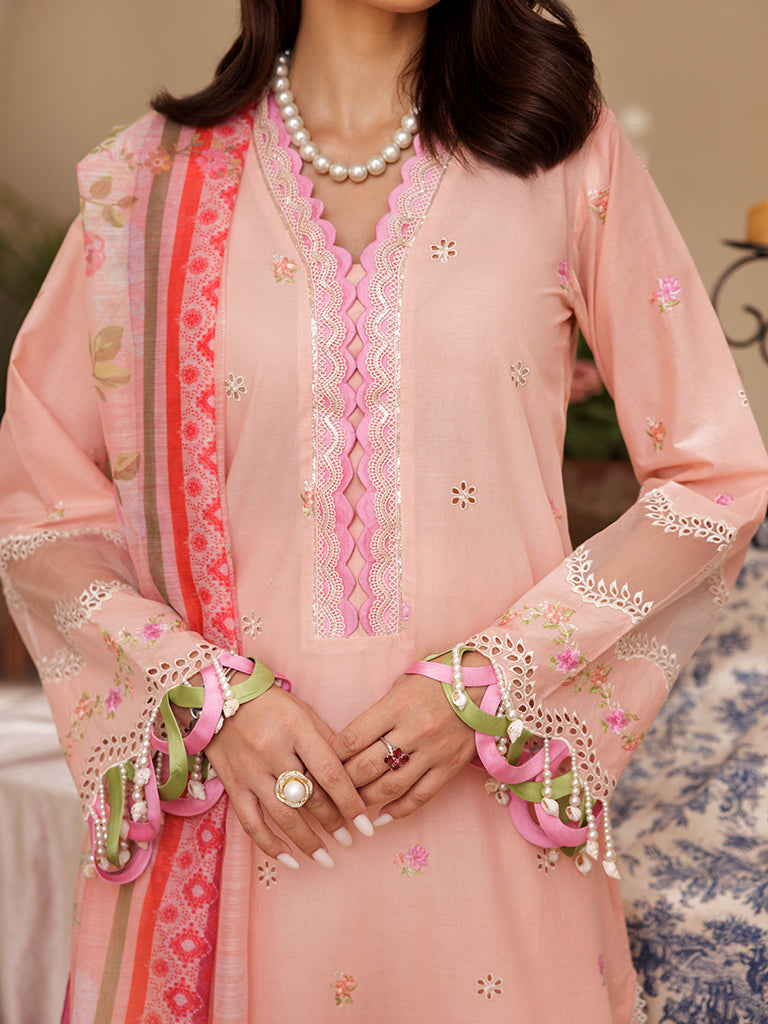 Rajbari | Nissa Chikankari Edition 25 | D# - 03 -  Rajbari Ladies Clothes - Original Designer Dress - House of Maryam