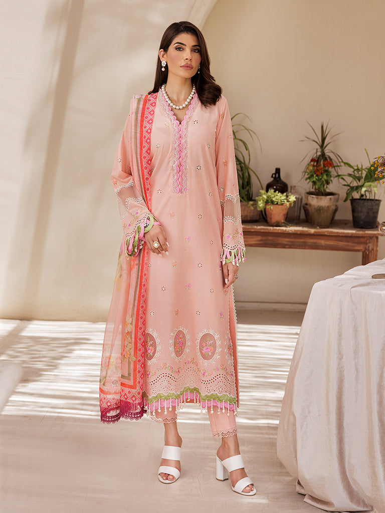 Rajbari | Nissa Chikankari Edition 25 | D# - 03 -  Rajbari Ladies Clothes - Original Designer Dress - House of Maryam