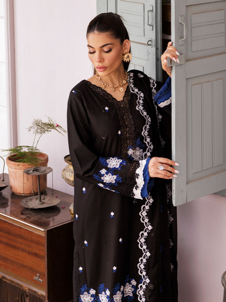 Rajbari | Nissa Chikankari Edition 25 | D# - 08 -  Rajbari Ladies Clothes - Original Designer Dress - House of Maryam