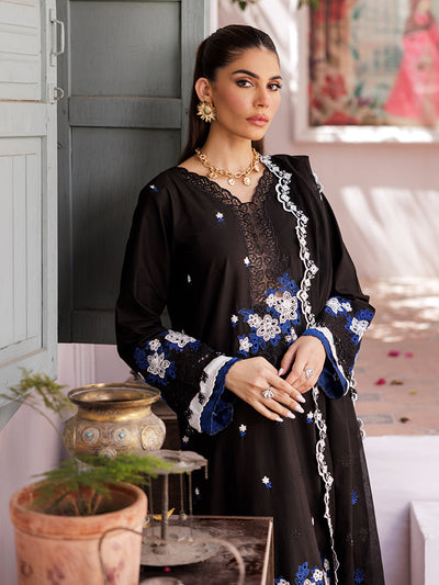 Rajbari | Nissa Chikankari Edition 25 | D# - 08 -  Rajbari Ladies Clothes - Original Designer Dress - House of Maryam