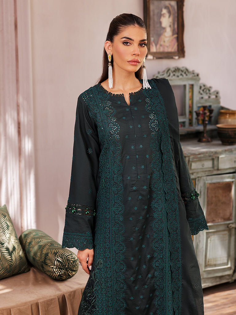 Rajbari | Nissa Chikankari Edition 25 | D# - 05 -  Rajbari Ladies Clothes - Original Designer Dress - House of Maryam