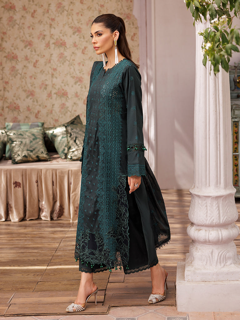 Rajbari | Nissa Chikankari Edition 25 | D# - 05 -  Rajbari Ladies Clothes - Original Designer Dress - House of Maryam