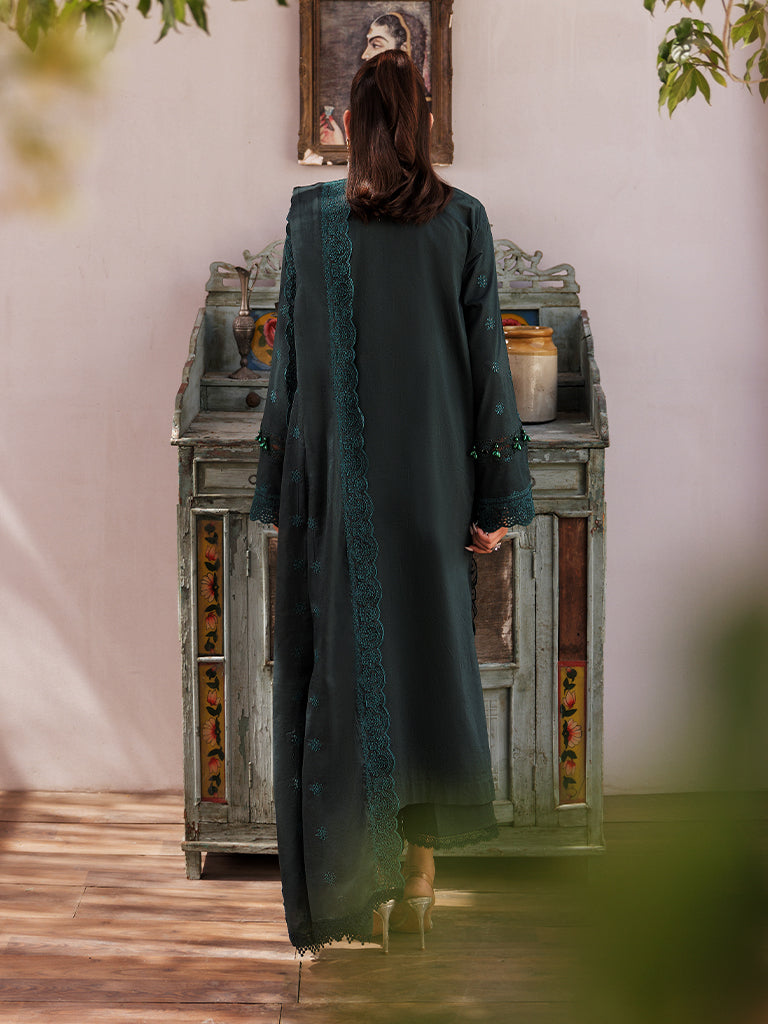 Rajbari | Nissa Chikankari Edition 25 | D# - 05 -  Rajbari Ladies Clothes - Original Designer Dress - House of Maryam