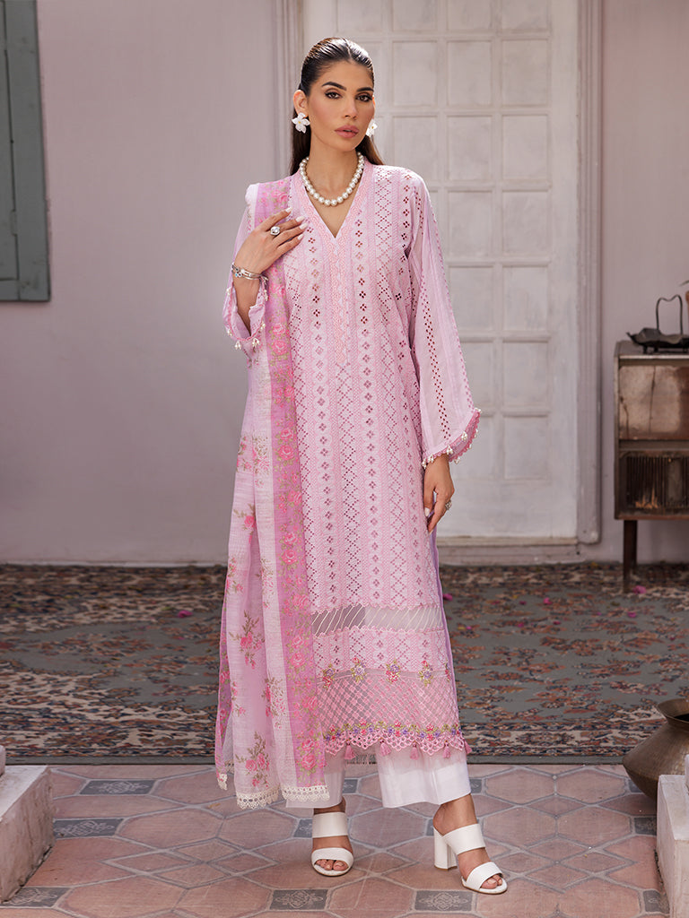 Rajbari | Nissa Chikankari Edition 25 | D# - 06 -  Rajbari Ladies Clothes - Original Designer Dress - House of Maryam