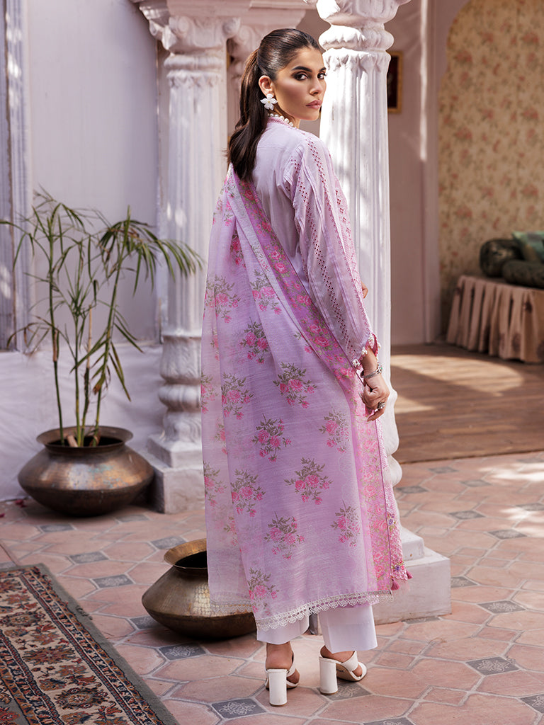 Rajbari | Nissa Chikankari Edition 25 | D# - 06 -  Rajbari Ladies Clothes - Original Designer Dress - House of Maryam
