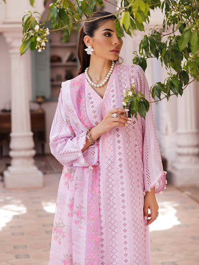 Rajbari | Nissa Chikankari Edition 25 | D# - 06 -  Rajbari Ladies Clothes - Original Designer Dress - House of Maryam