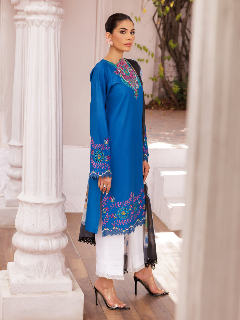 Rajbari | Nissa Chikankari Edition 25 | D# - 04 -  Rajbari Ladies Clothes - Original Designer Dress - House of Maryam