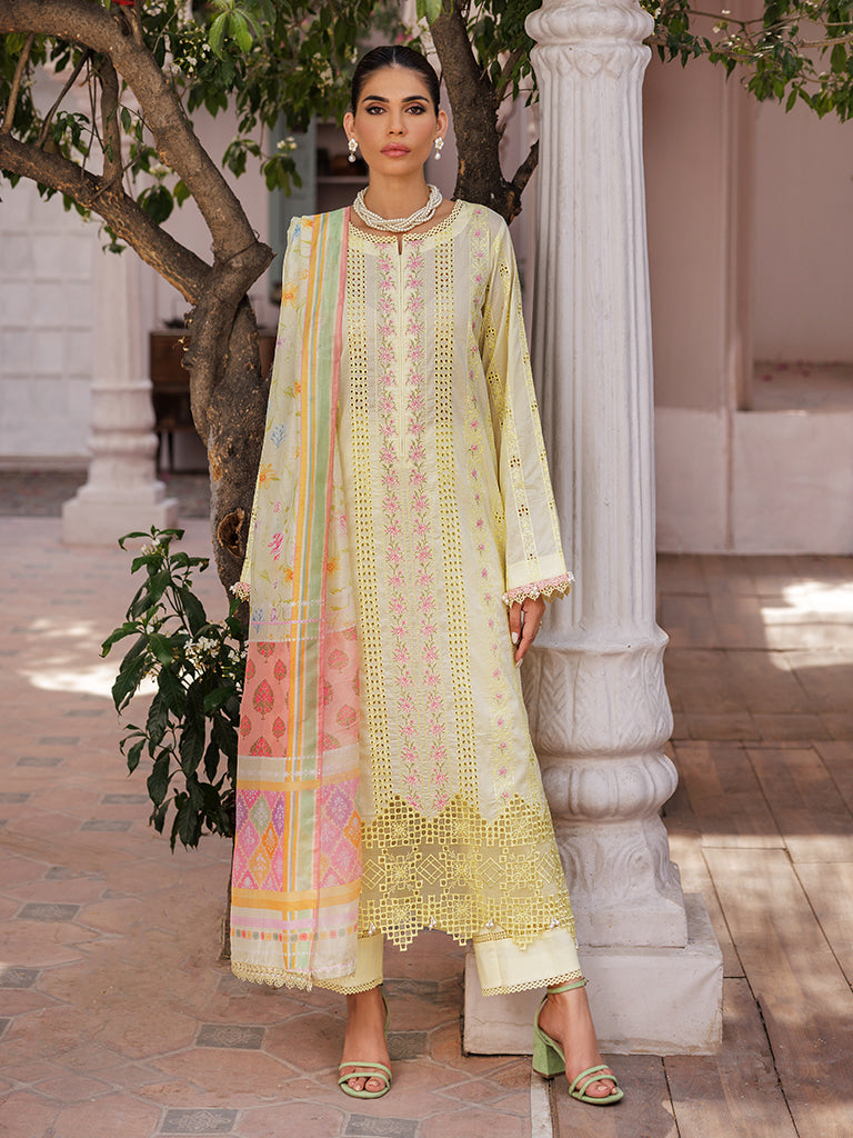 Rajbari | Nissa Chikankari Edition 25 | D# - 09