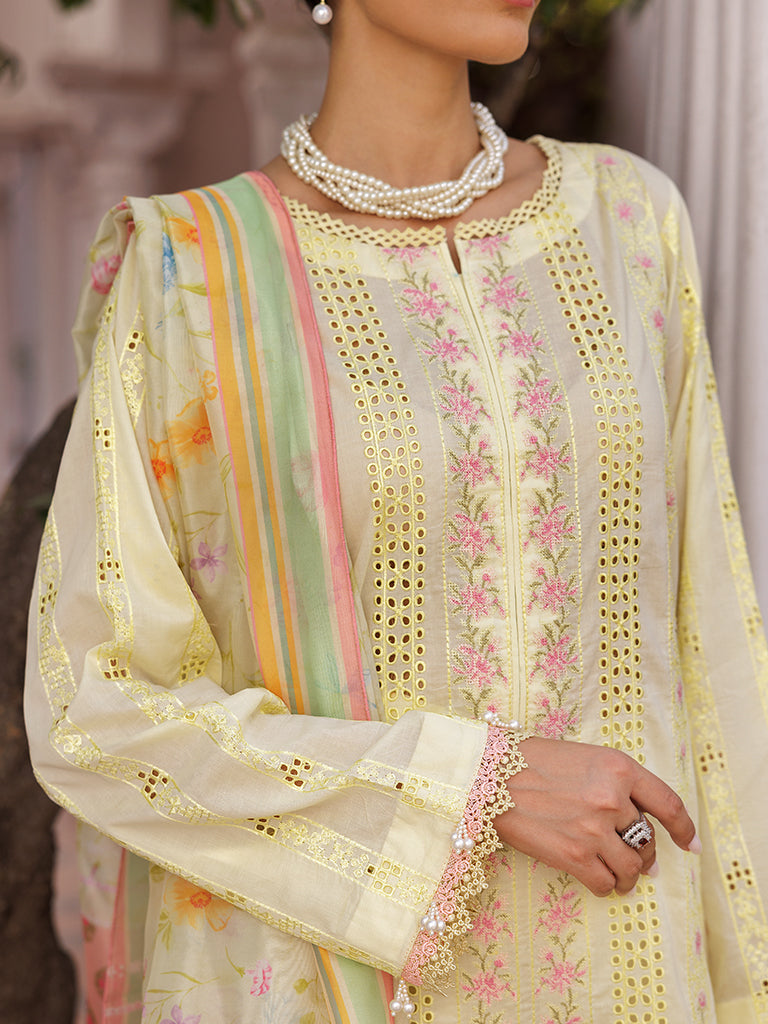 Rajbari | Nissa Chikankari Edition 25 | D# - 09 -  Rajbari Ladies Clothes - Original Designer Dress - House of Maryam