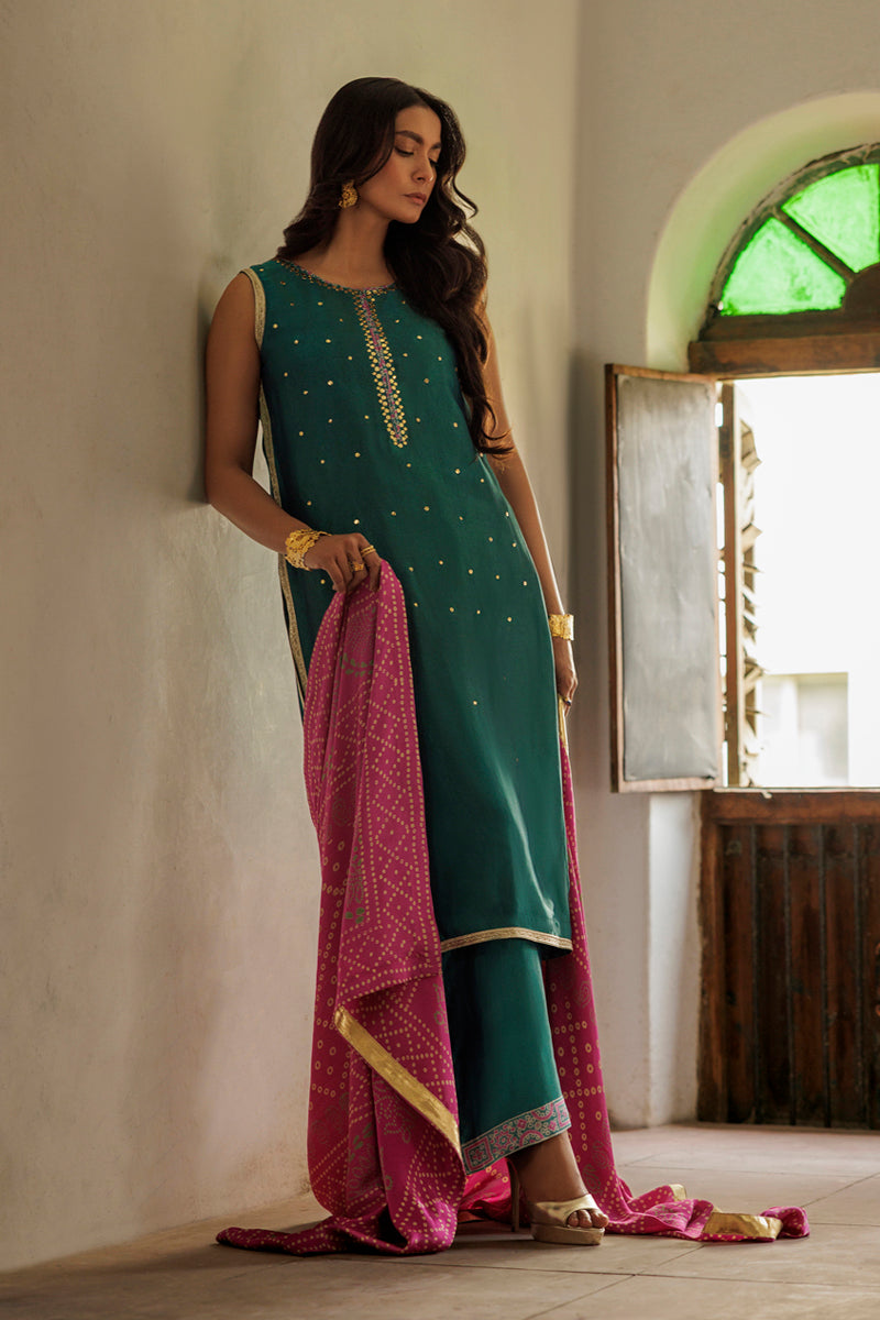 The Pink Tree Company | Yaadish Bakhair | Saawan Rang -  The Pink Tree Company Ladies Clothes - Original Designer Dress - House of Maryam