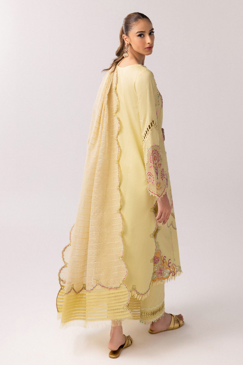 Qalamkar | Basic Pret 25 | KT-08 Afra -  Qalamkar Ladies Clothes -  House of Maryam