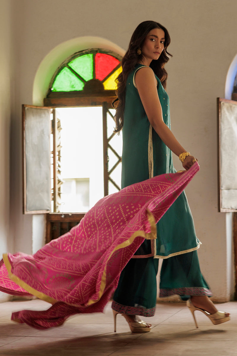 The Pink Tree Company | Yaadish Bakhair | Saawan Rang -  The Pink Tree Company Ladies Clothes - Original Designer Dress - House of Maryam