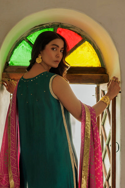 The Pink Tree Company | Yaadish Bakhair | Saawan Rang -  The Pink Tree Company Ladies Clothes - Original Designer Dress - House of Maryam