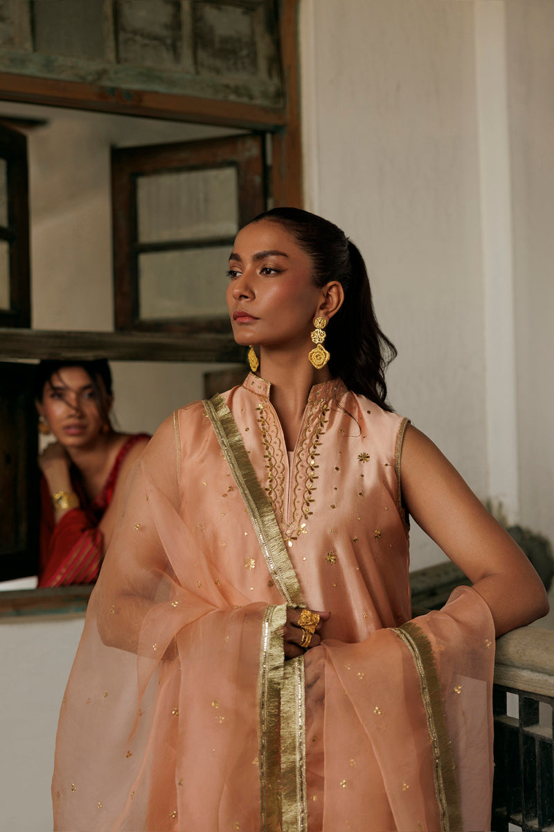 The Pink Tree Company | Yaadish Bakhair | Gulbadan -  The Pink Tree Company Ladies Clothes - Original Designer Dress - House of Maryam